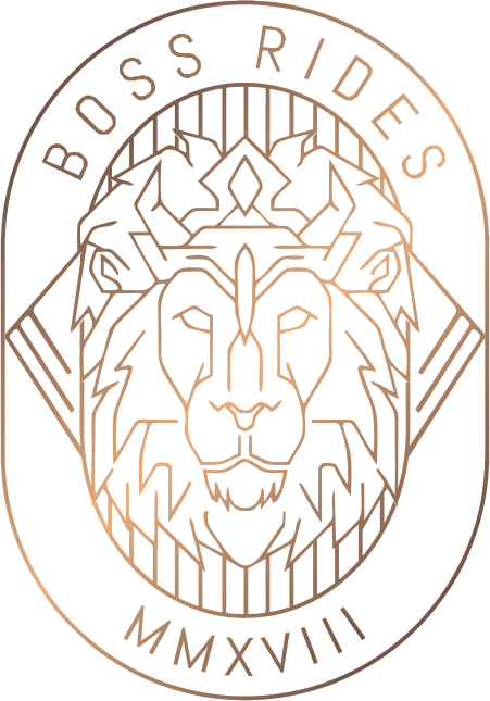 Logo&nbsp;BOSS RIDES PRIVATE LIMITED